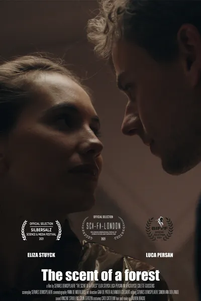 The scent of a forest