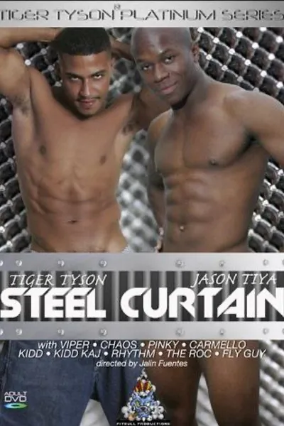 Steel Curtain