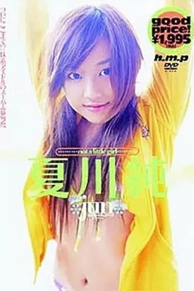 夏川純 / not a little girl