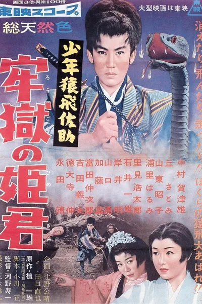 少年猿飛佐助 牢獄の姫君