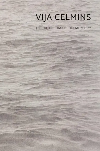 Vija Celmins: To Fix the Image in Memory