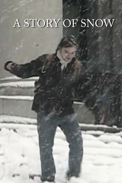 A Story of Snow