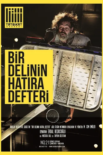 Bir Delinin Hatıra Defteri - Erdal Beşikçioğlu