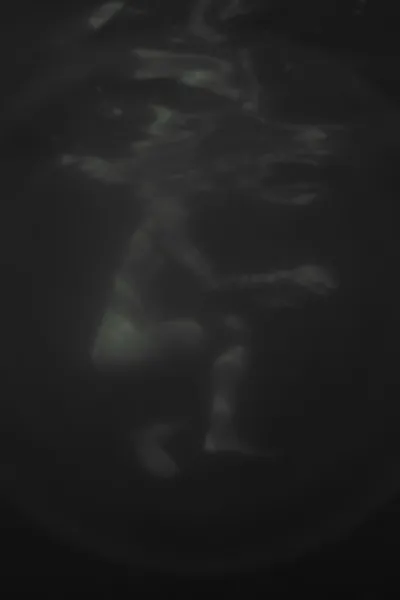 Hazug disznók az álmok is