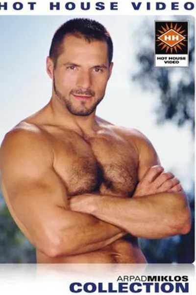 Arpad Miklos Collection