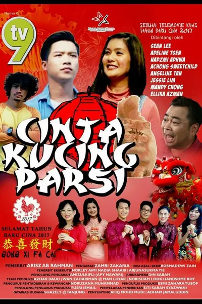Cinta Kucing Parsi