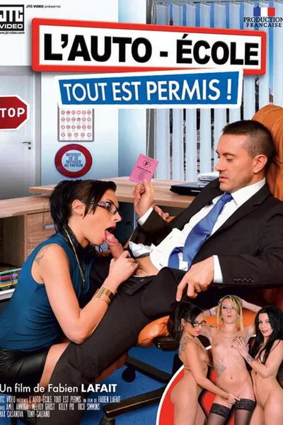 L'Auto-Ecole Tout Est Permis !