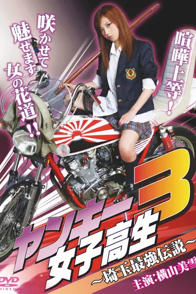 Yankee High School Girl 3 ~Saitama's Greatest Legend~