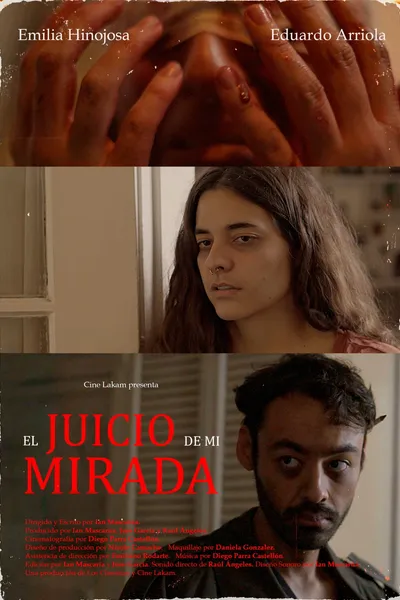 El juicio de mi mirada.