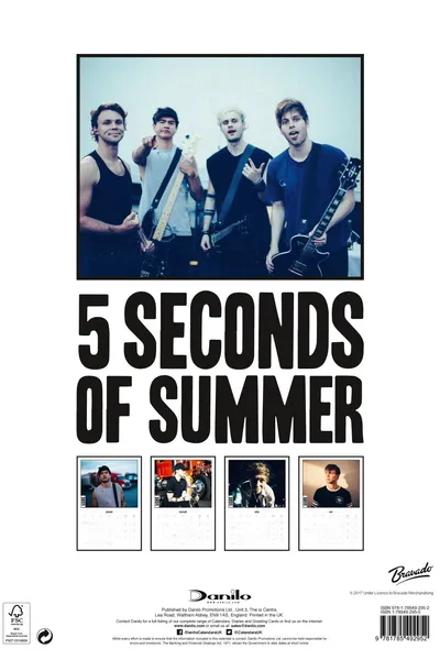 5 Seconds of Summer - Rock in Rio Ao Vivo