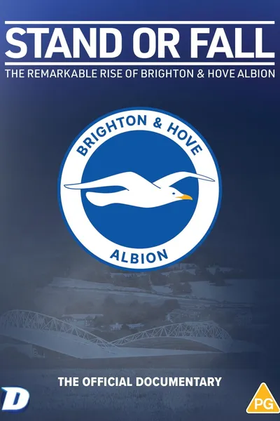 Stand or Fall: The Remarkable Rise of Brighton and Hove Albion