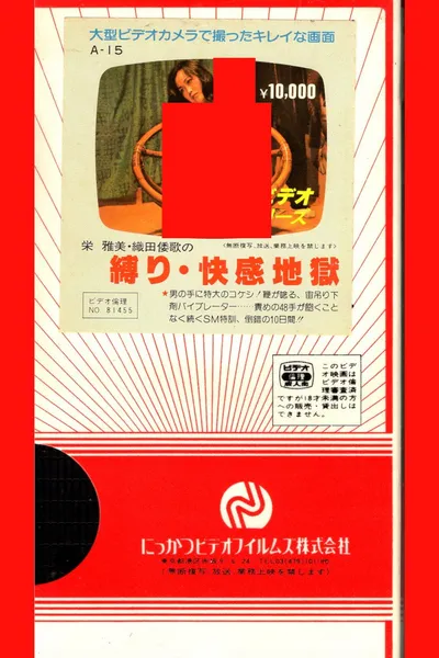 Bondage and Pleasure Hell