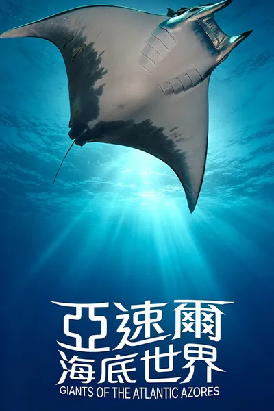 亚速尔海底世界