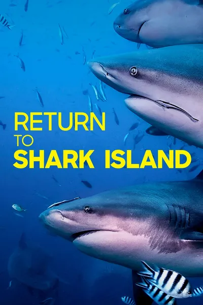 Return to Shark Island