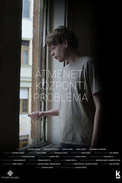 Temporary Central Problem