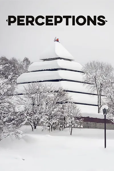 Perceptions