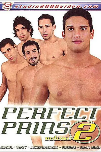 Perfect Pairs 2