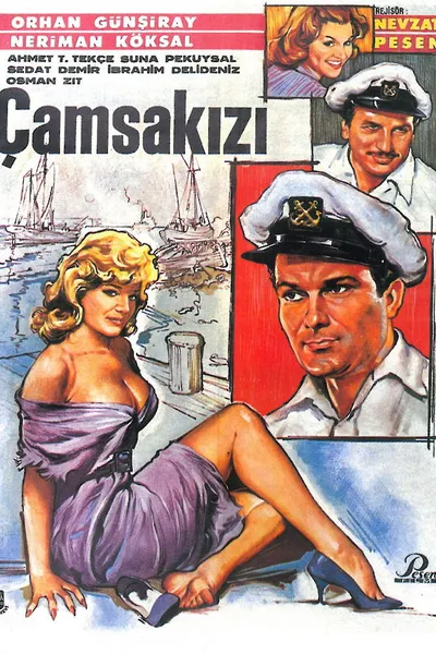 Çam Sakızı