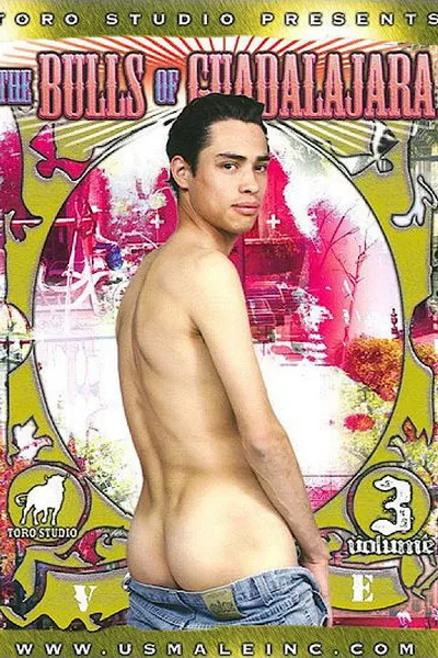 The Bulls of Guadalajara 3