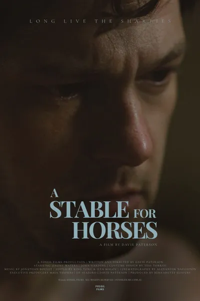 A Stable for Horses
