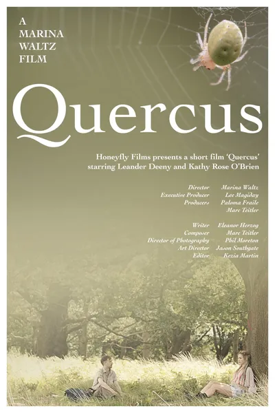 Quercus