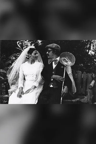 The Bride and the Butterfly Hunter