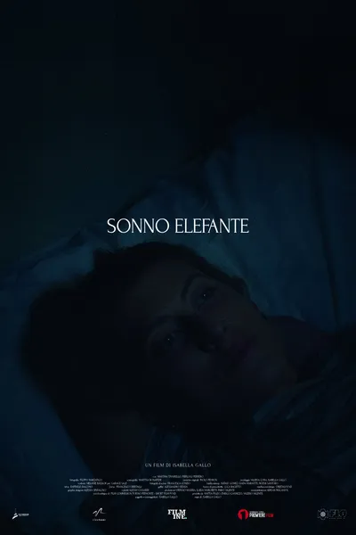 Sonno Elefante