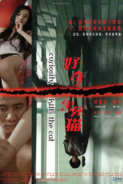 Curiosity Kills the Cat