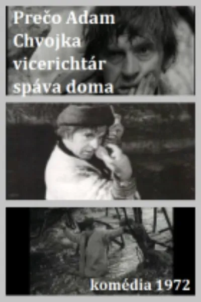 Adam Chvojka vicerichtár