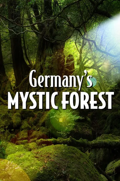 Germany's Mystic Forest