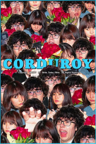 Corduroy