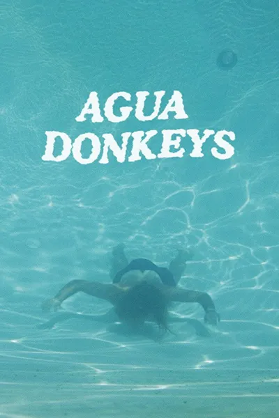 Agua Donkeys