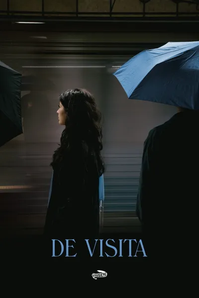 DE VISITA