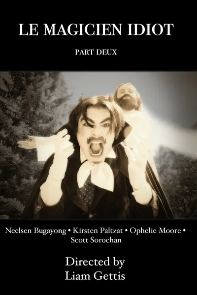 Le Magicien Idiot Part Deux
