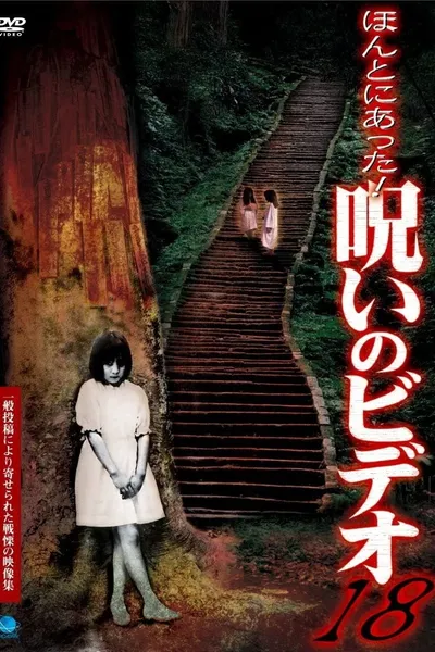 Honto Ni Atta! Noroi No Video 18