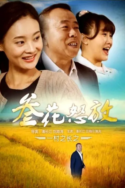 一村之长之参花怒放