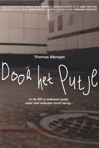 Door het putje