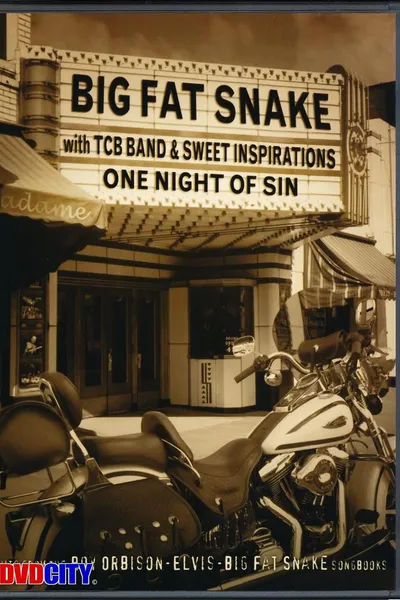 Big Fat Snake - One Night of Sin
