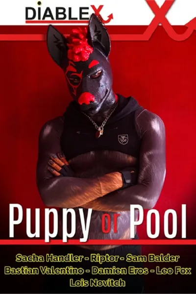 Puppy or Pool