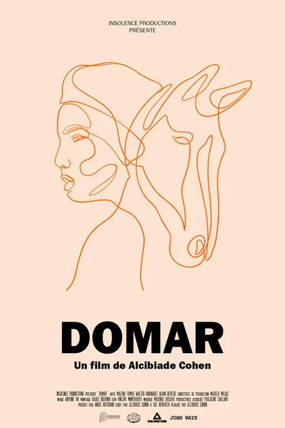 Domar