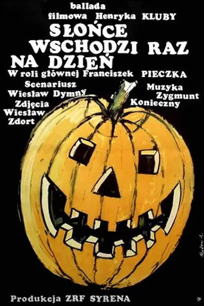 The Sun Rises Once a Day