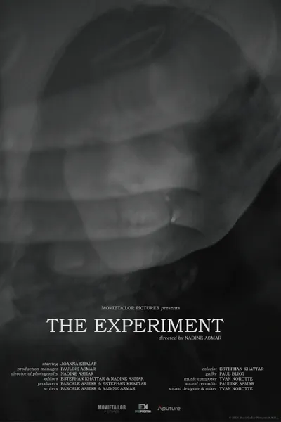 The Experiment