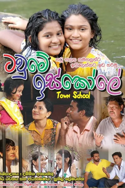 Town School
