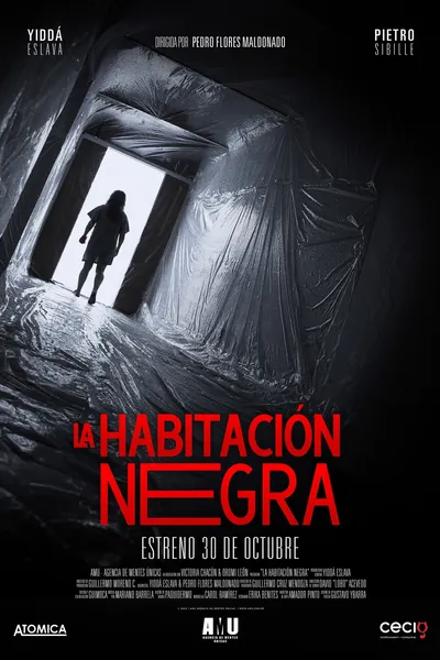 La Habitación Negra