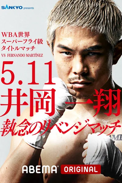 Fernando Martinez vs. Kazuto Ioka 2