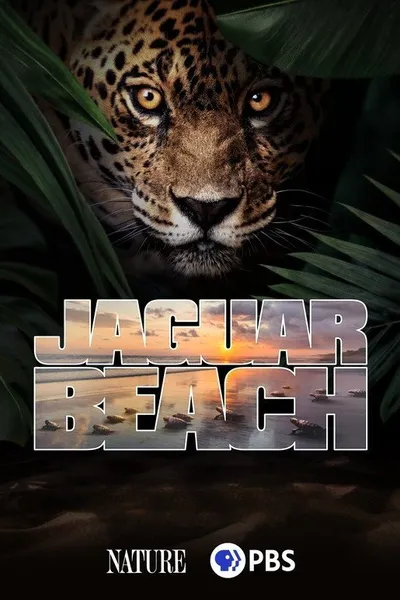 Jaguar Beach‎