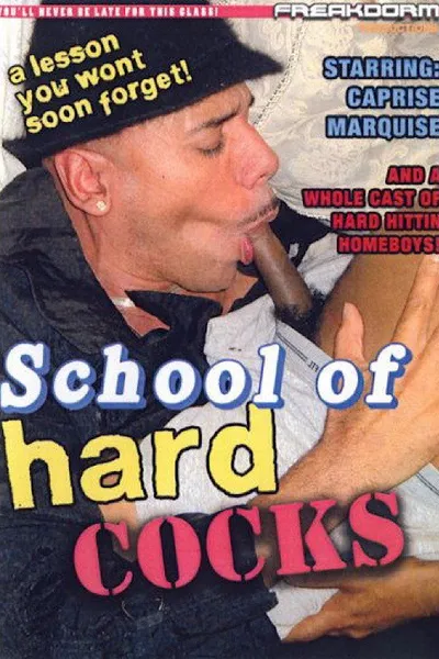 School of Hard Cocks