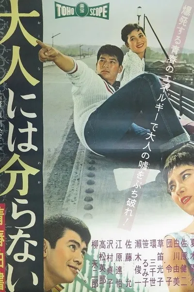 Adults Cannot Understand - Record of Youth