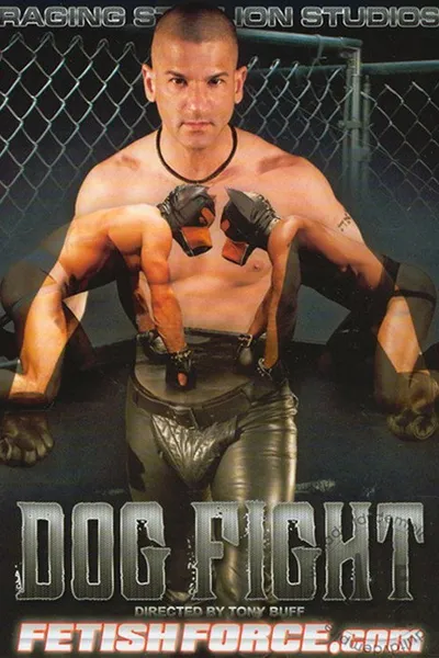Dog Fight