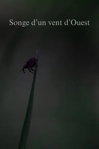 Songe d'un vent d'Ouest